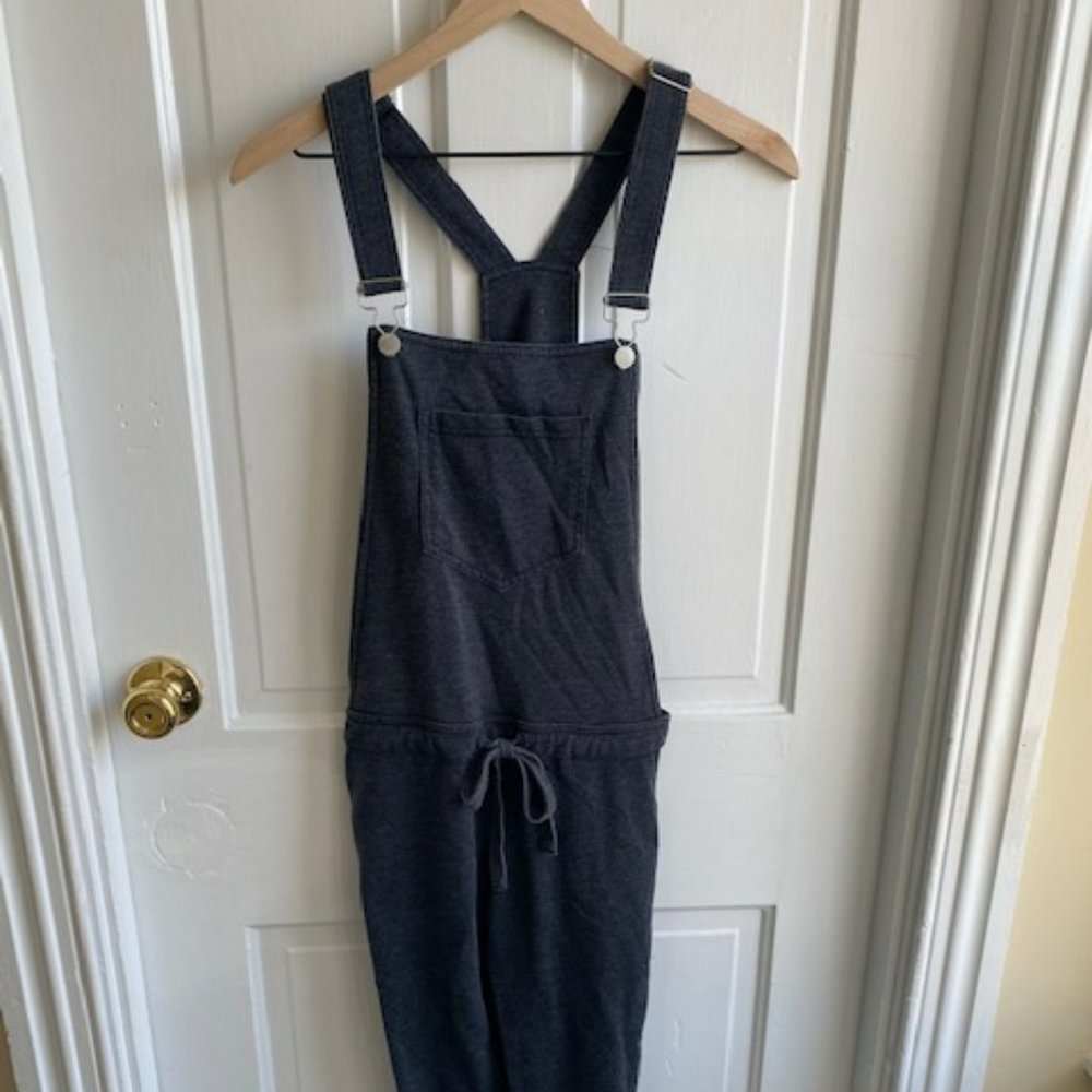 Z Supply Boutique soft grey overalls